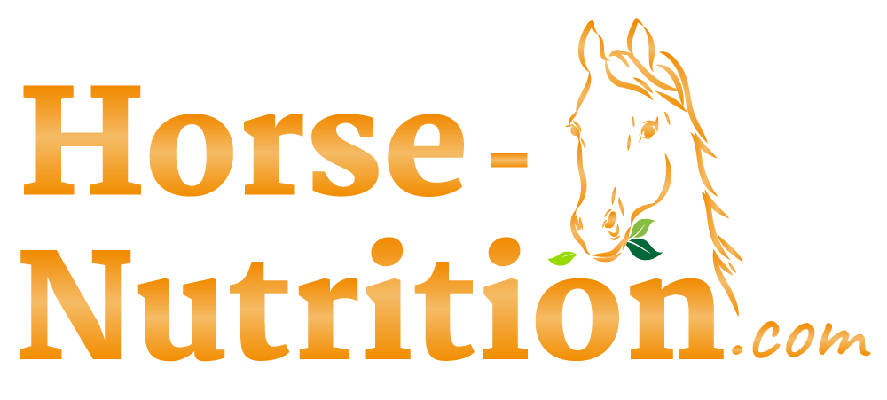 Horse-Nutrition-orange